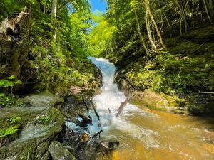 Preview wallpaper trees, waterfall, stones, nature