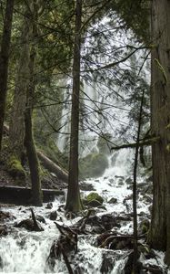 Preview wallpaper trees, waterfall, stream, spray