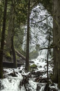 Preview wallpaper trees, waterfall, stream, spray