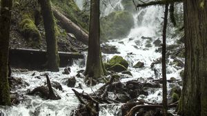 Preview wallpaper trees, waterfall, stream, spray