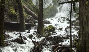 Preview wallpaper trees, waterfall, stream, spray