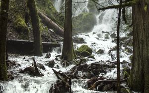 Preview wallpaper trees, waterfall, stream, spray