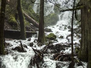 Preview wallpaper trees, waterfall, stream, spray