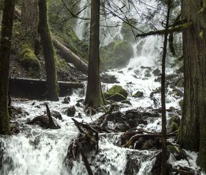 Preview wallpaper trees, waterfall, stream, spray