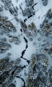 Preview wallpaper trees, winter, aerial view, snow, cranny