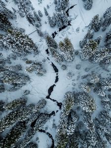 Preview wallpaper trees, winter, aerial view, snow, cranny