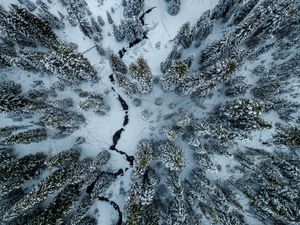 Preview wallpaper trees, winter, aerial view, snow, cranny