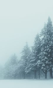 Preview wallpaper trees, winter, fog, snow