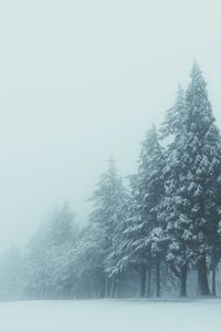 Preview wallpaper trees, winter, fog, snow