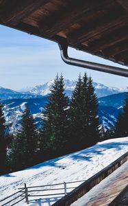 Preview wallpaper trees, winter, mountains, window