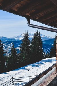 Preview wallpaper trees, winter, mountains, window