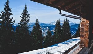 Preview wallpaper trees, winter, mountains, window