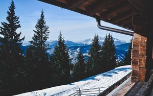 Preview wallpaper trees, winter, mountains, window