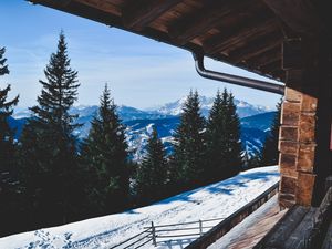 Preview wallpaper trees, winter, mountains, window
