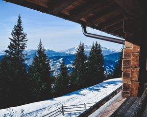 Preview wallpaper trees, winter, mountains, window