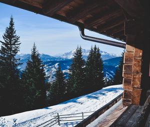 Preview wallpaper trees, winter, mountains, window
