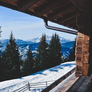 Preview wallpaper trees, winter, mountains, window