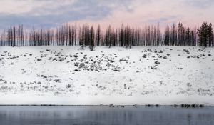 Preview wallpaper trees, winter, snow, hill, snowy