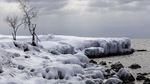 Preview wallpaper trees, winter, snow, nature