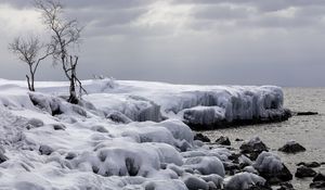 Preview wallpaper trees, winter, snow, nature