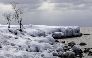 Preview wallpaper trees, winter, snow, nature