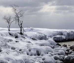 Preview wallpaper trees, winter, snow, nature