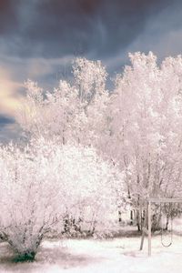 Preview wallpaper trees, winter, snow, sky, swing, hoarfrost