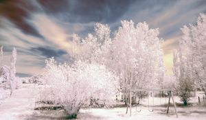 Preview wallpaper trees, winter, snow, sky, swing, hoarfrost