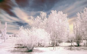 Preview wallpaper trees, winter, snow, sky, swing, hoarfrost