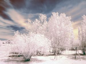 Preview wallpaper trees, winter, snow, sky, swing, hoarfrost