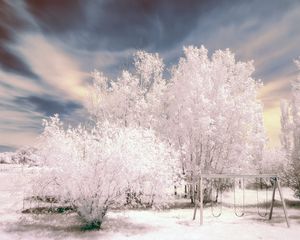 Preview wallpaper trees, winter, snow, sky, swing, hoarfrost