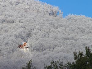 Preview wallpaper trees, winter, snow, house, light