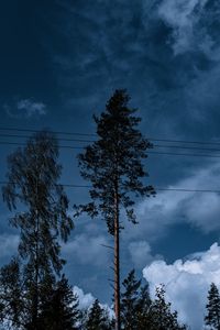 Preview wallpaper trees, wires, clouds, sky