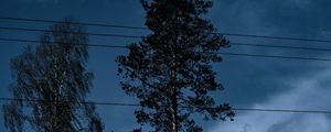 Preview wallpaper trees, wires, clouds, sky