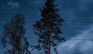 Preview wallpaper trees, wires, clouds, sky