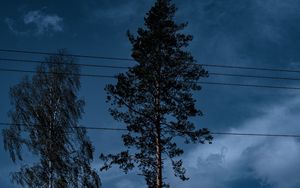 Preview wallpaper trees, wires, clouds, sky