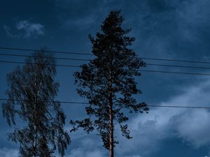 Preview wallpaper trees, wires, clouds, sky