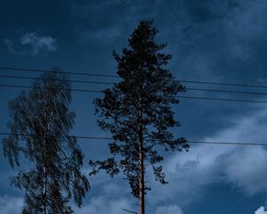 Preview wallpaper trees, wires, clouds, sky