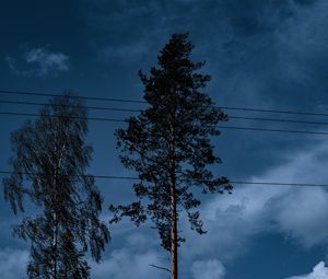 Preview wallpaper trees, wires, clouds, sky