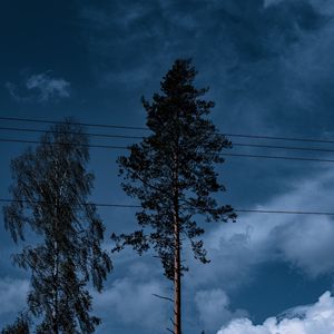 Preview wallpaper trees, wires, clouds, sky