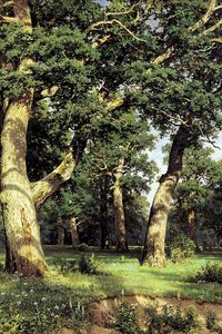 Preview wallpaper trees, wood, edge, reproduction, shishkin, painting, art