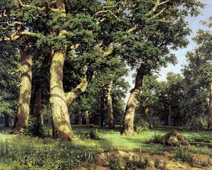 Preview wallpaper trees, wood, edge, reproduction, shishkin, painting, art