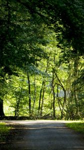 Preview wallpaper trees, wood, greens, summer, crossroads, road