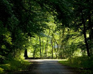 Preview wallpaper trees, wood, greens, summer, crossroads, road