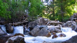 Preview wallpaper trees, wood, logs, dam, river, stones