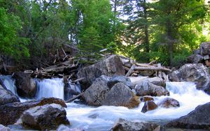 Preview wallpaper trees, wood, logs, dam, river, stones