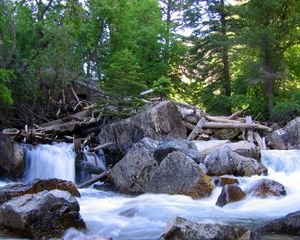 Preview wallpaper trees, wood, logs, dam, river, stones