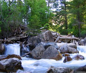 Preview wallpaper trees, wood, logs, dam, river, stones