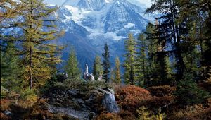 Preview wallpaper trees, wood, mountains, top, bichhorn, switzerland