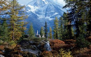 Preview wallpaper trees, wood, mountains, top, bichhorn, switzerland